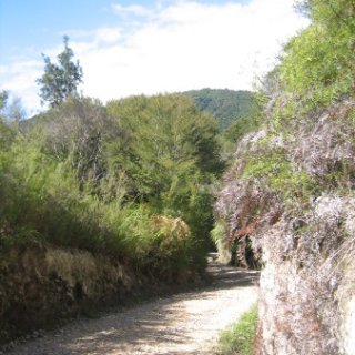 2018-NZ-travel-374