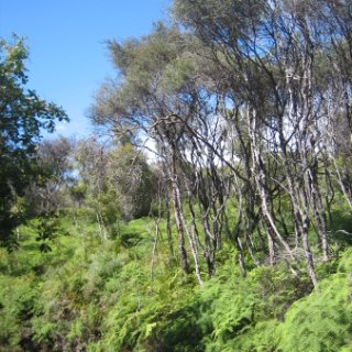 2018-NZ-travel-376
