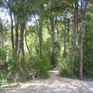 2018-NZ-travel-381