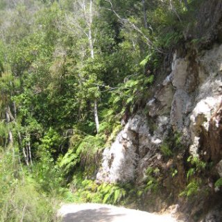2018-NZ-travel-382