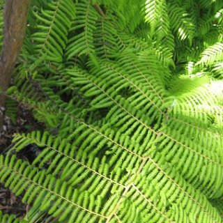 2018-NZ-travel-383