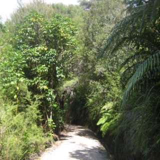 2018-NZ-travel-384