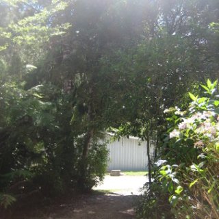 2018-NZ-travel-386
