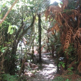 2018-NZ-travel-393
