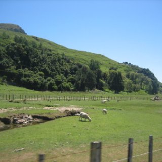 2018-NZ-travel-410