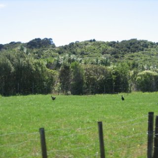 2018-NZ-travel-411