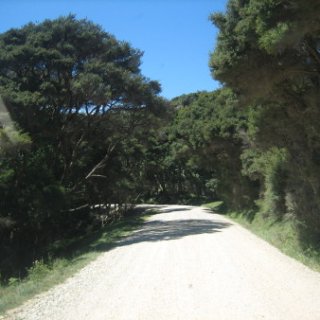 2018-NZ-travel-415