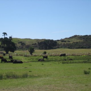 2018-NZ-travel-418