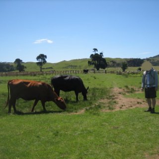 2018-NZ-travel-420