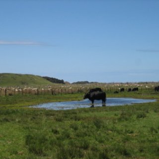 2018-NZ-travel-421
