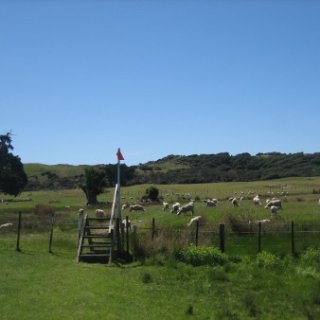 2018-NZ-travel-422
