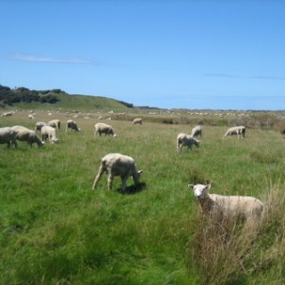 2018-NZ-travel-423