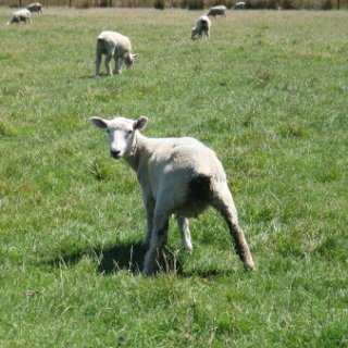 2018-NZ-travel-425