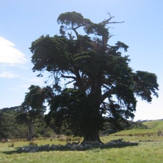 2018-NZ-travel-426