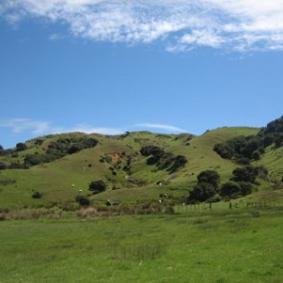 2018-NZ-travel-429