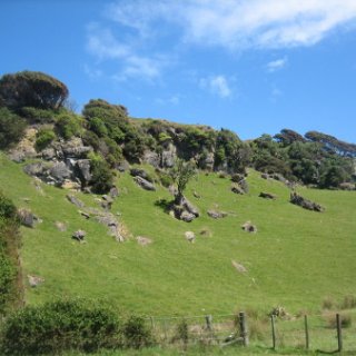 2018-NZ-travel-430