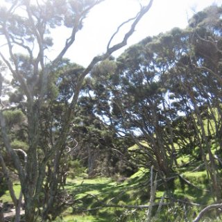 2018-NZ-travel-431