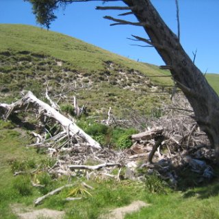 2018-NZ-travel-432