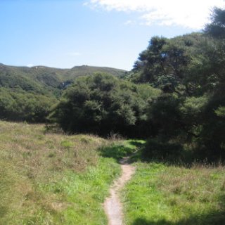 2018-NZ-travel-436