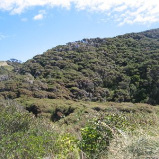 2018-NZ-travel-440