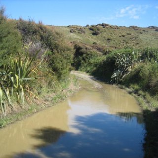 2018-NZ-travel-454