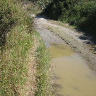 2018-NZ-travel-455