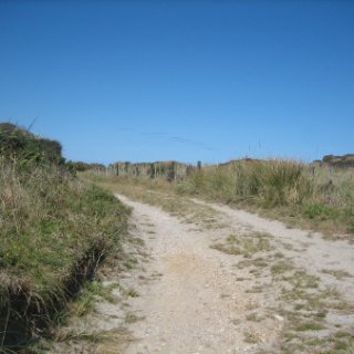 2018-NZ-travel-456