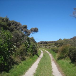 2018-NZ-travel-457