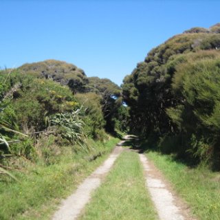 2018-NZ-travel-458