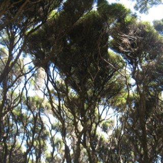 2018-NZ-travel-459