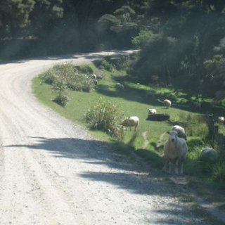 2018-NZ-travel-471