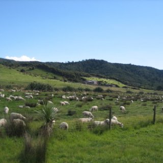 2018-NZ-travel-478