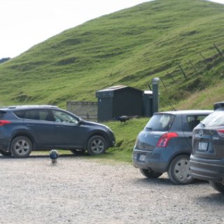 2018-NZ-travel-481