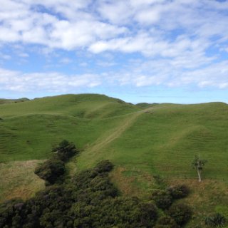 2018-NZ-travel-486