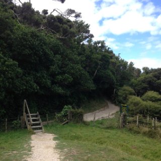 2018-NZ-travel-488