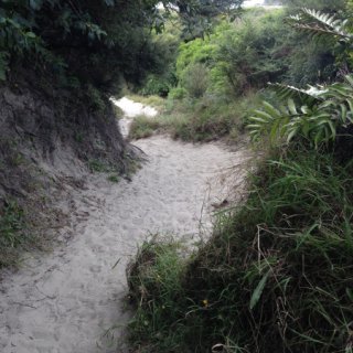 2018-NZ-travel-490