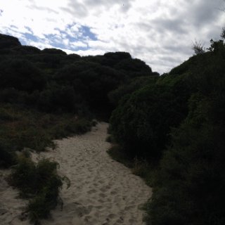 2018-NZ-travel-491