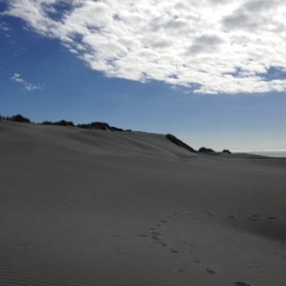 2018-NZ-travel-496