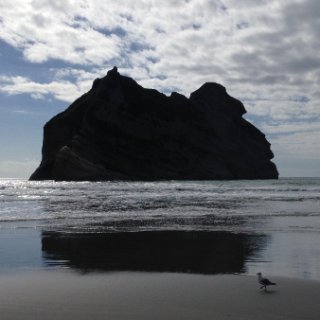 2018-NZ-travel-502