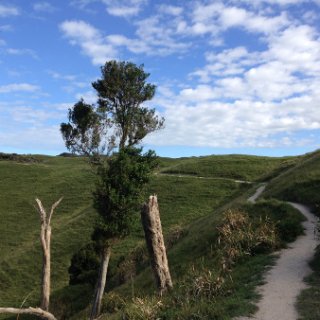 2018-NZ-travel-515