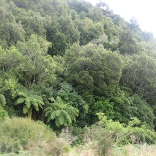 2018-NZ-travel-595