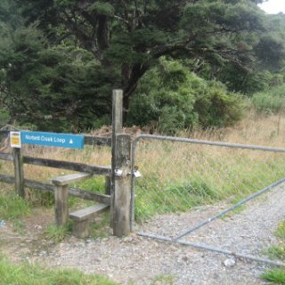 2018-NZ-travel-615