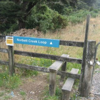 2018-NZ-travel-616