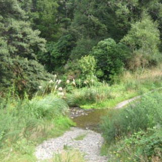 2018-NZ-travel-618