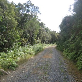 2018-NZ-travel-621