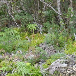 2018-NZ-travel-626