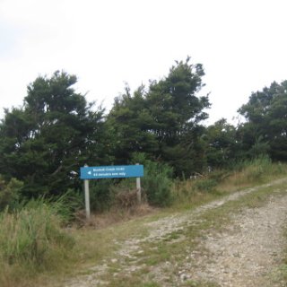 2018-NZ-travel-631