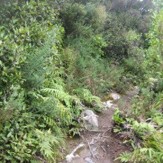 2018-NZ-travel-635
