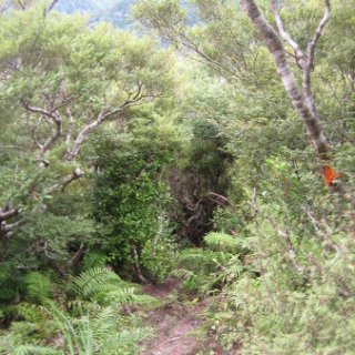 2018-NZ-travel-636