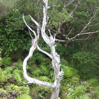 2018-NZ-travel-637